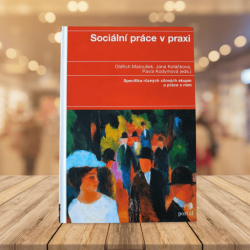 Sociální práce v praxi - Oldřich Matoušek