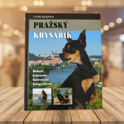 Pražský krysařík: Cyrila Karpfová