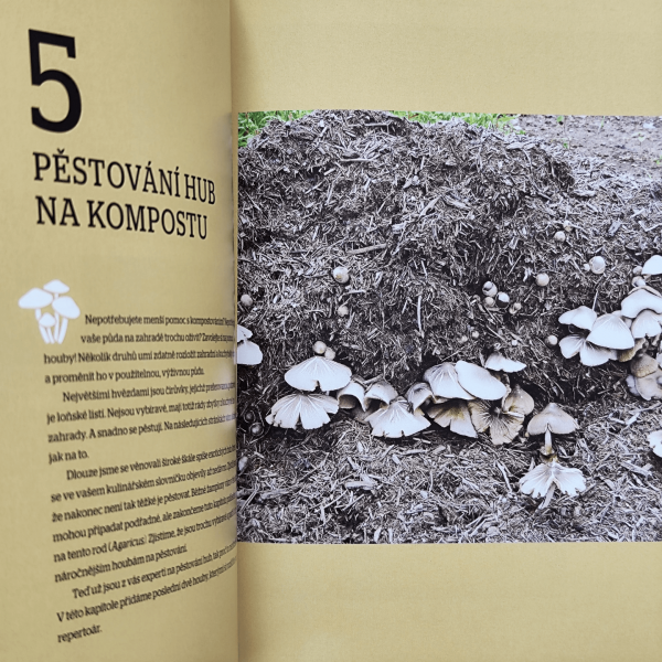 Pěstování hub -Tavis Lynch - Obrázek 5