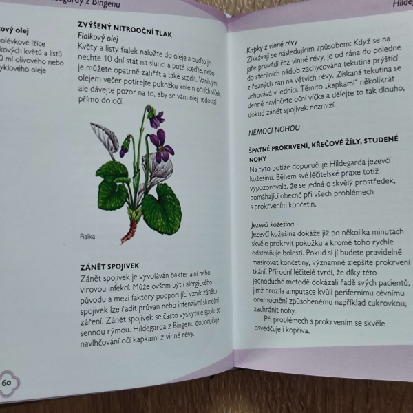 Léčebné umění Hildegardy z Bingenu - Obrázek 2