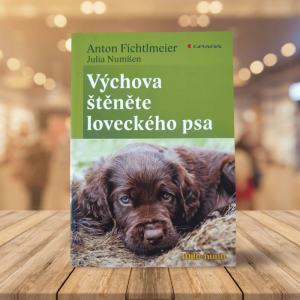 Výchova štěněte loveckého psa: Numssen