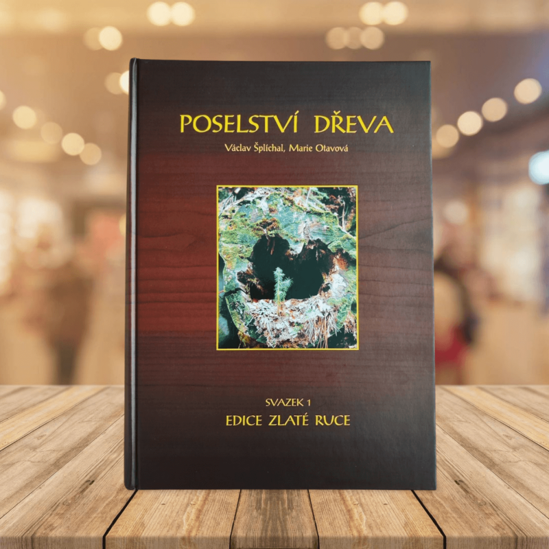 Poselství dřeva – Václav Šplíchal