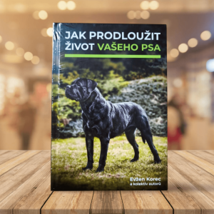 Jak prodloužit život vašeho psa:  Evžen Korec