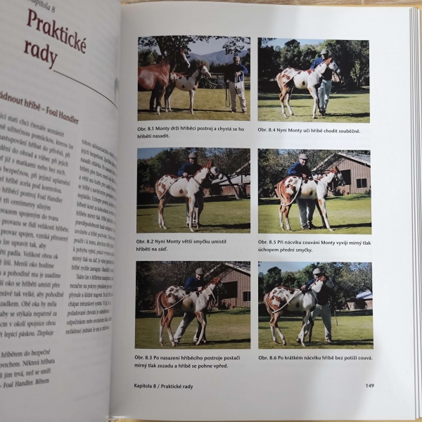 Průvodce nenásilným výcvikem koní - Monty Roberts - Obrázek 3