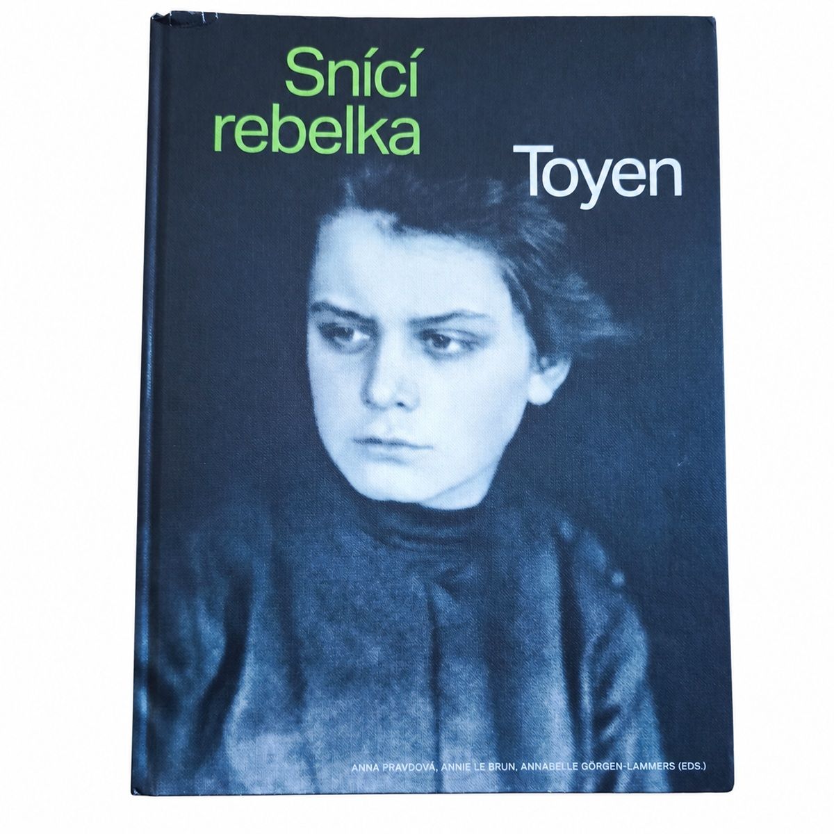 Přední obálka knihy Toyen: Snící rebelka.
