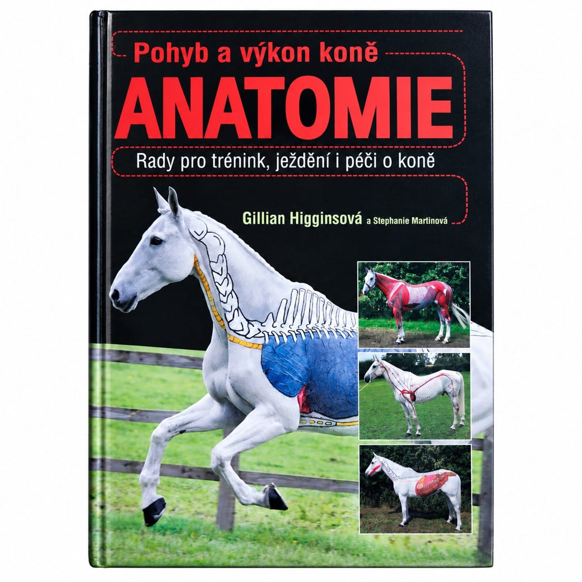 Přední obálka knihy Pohyb a výkon koně: Anatomie s koněm a znázorněním anatomických struktur.