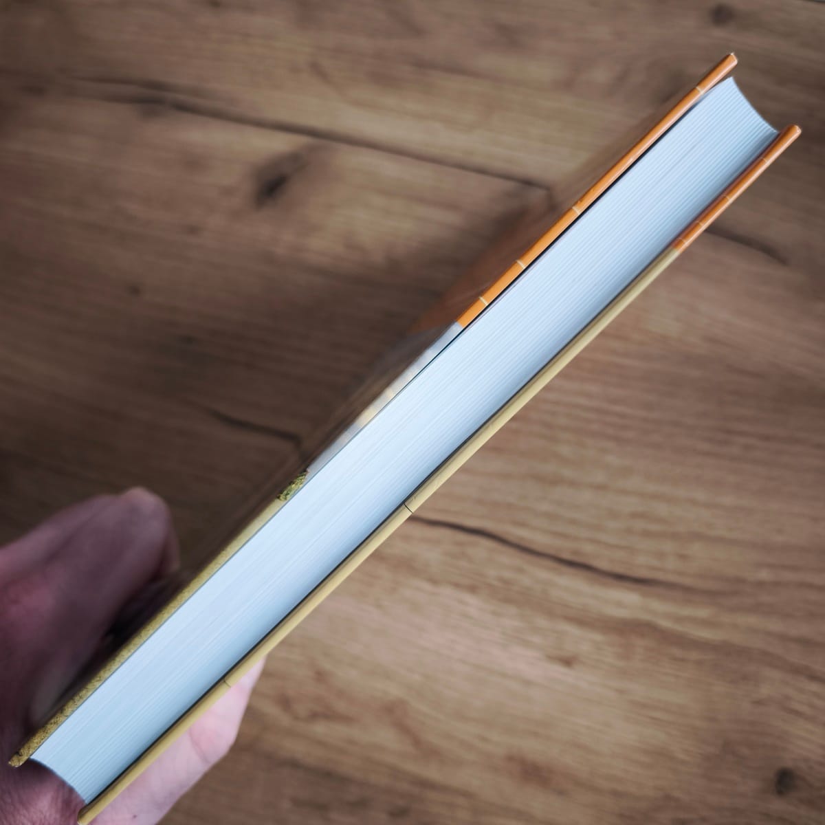 Pohled na ořízku a hrany vázané knihy Antropologie náboženství.