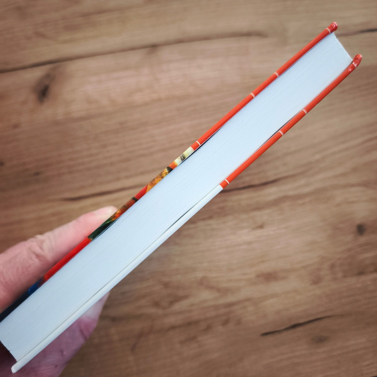 Detail ořízky a rohů knihy Metody a řízení sociální práce.